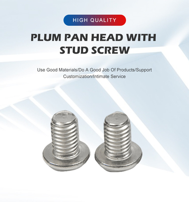 Aço inoxidável contra-encosto Hex Socket Head Screw Standard Outro resistente à corrosão