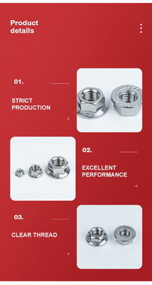 Nozes de flange de aço inoxidável DIN6923 M4 M5 M6 M8 M10 M12 M14 M16 com padrão DIN6923