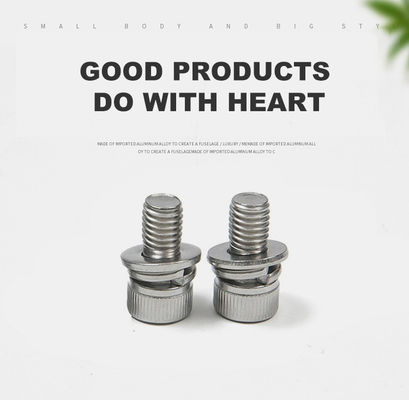 Finalização simples de todos os tamanhos M5 M6 M8 M12 aço inoxidável SUS 304 Hexagon Socket Head Cap Sems Screw