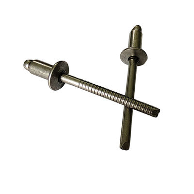 Rivet padrão de aço inoxidável 3.0mm Rivets abertos e cegos na natureza Cor cabeça redonda