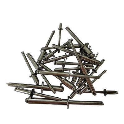 Padrão DIN 4.8mm Rebites abertos e fechados de aço inoxidável Cabeça redonda Alta resistência