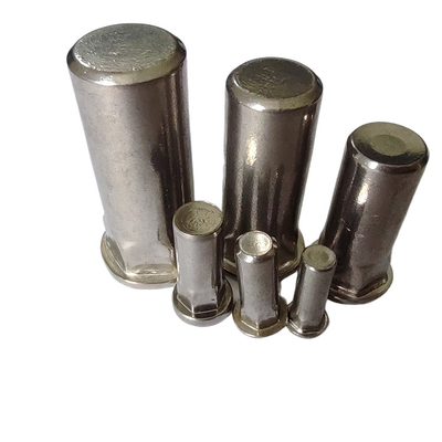 Finitura de revestimento de níquel semi-hex cego de rivet nut para corpo suave e limpo
