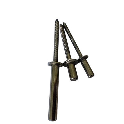 Rivet Cego de Aço Inoxidável com comprimento de vedação durável 6-25mm Finish Brilhante sem revestimento