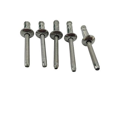 Inspeção de alcance de aço inoxidável contra cabeça afundada hipocampo em forma de rebites cegos