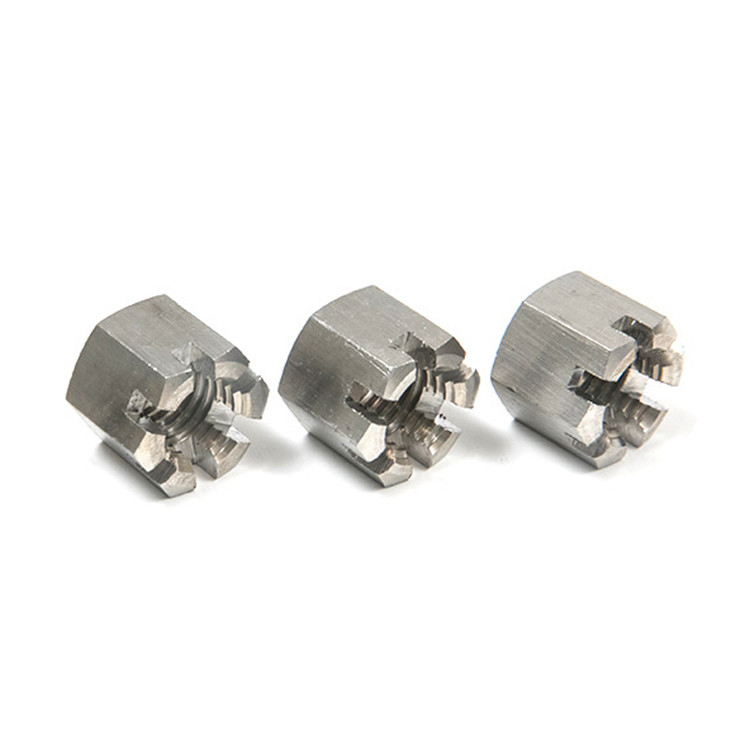 DIN935 DIN937 aço inoxidável 304 32750 2205 Ferradura de castelo pesado