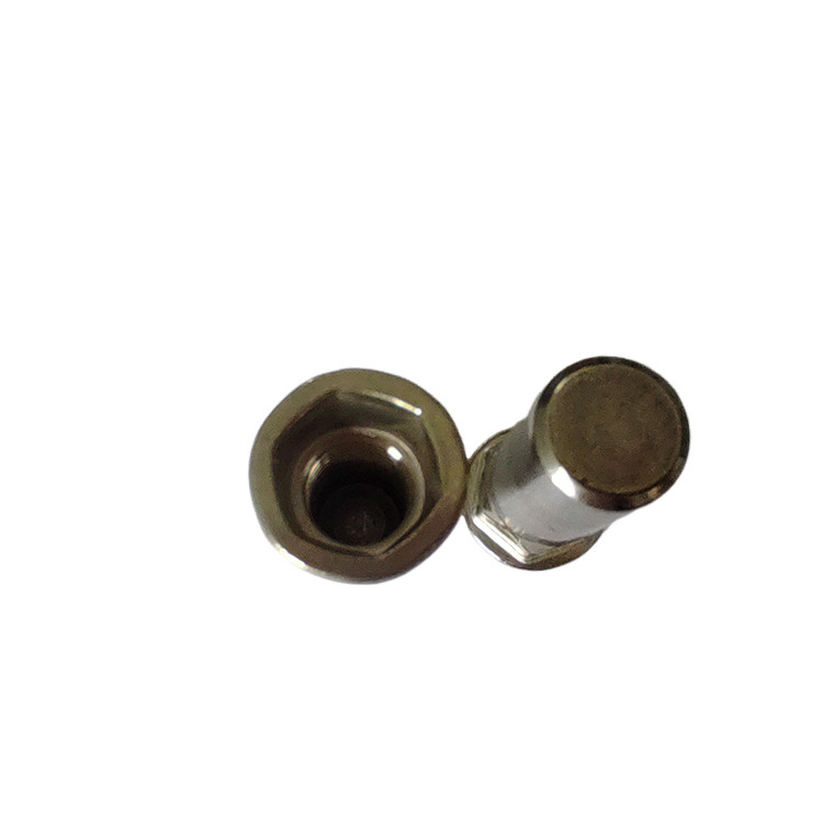 Resistência Flat Head Semi-Hex Closed End Rivet Nut para aplicações duradouras e resistentes