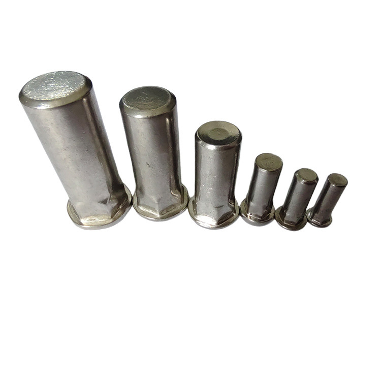 Finitura de revestimento de níquel semi-hex cego de rivet nut para corpo suave e limpo