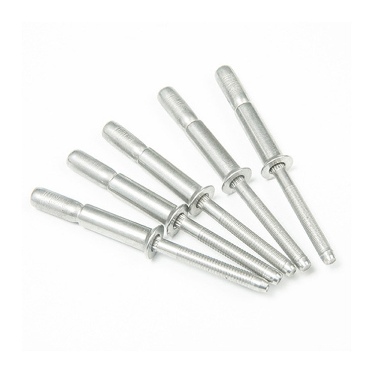 Rebites de acabamento simples de aço inoxidável tipo copo 2024 para aplicações industriais