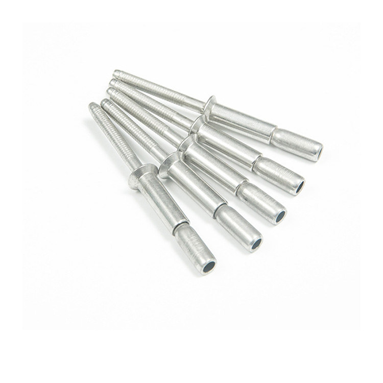 2024 aço inoxidável galvanizado plano cabeça aberta redonda rivetes cegos com acabamento prateado