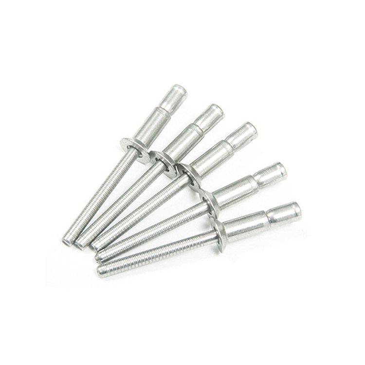 Rebites de tipo copo para automóveis Venda por encomenda de aço inoxidável multi-grip Finish Plain