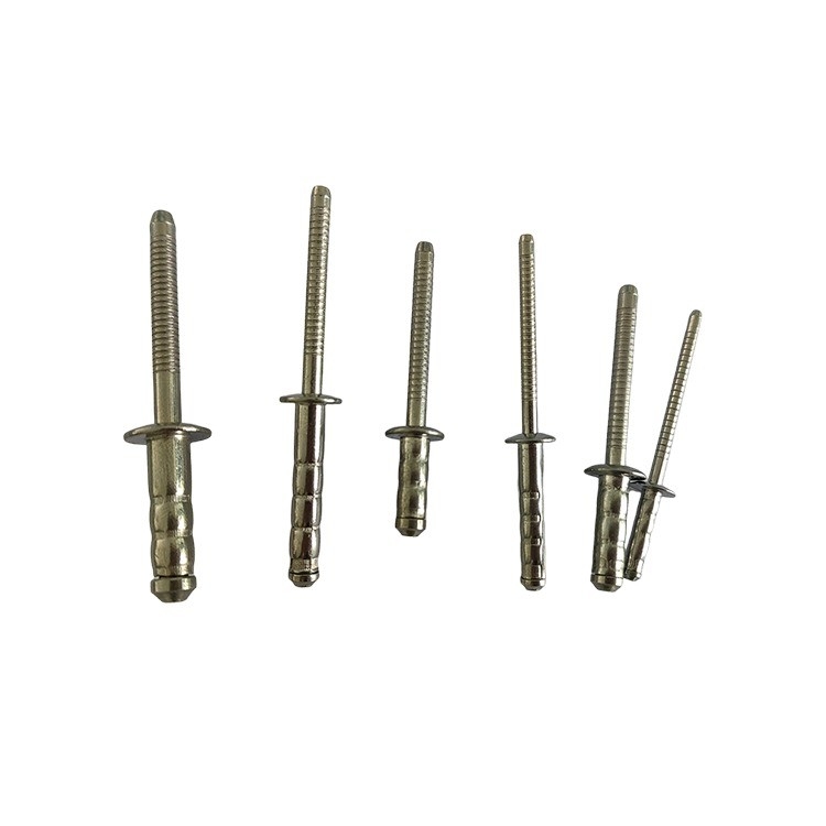 Finish brilhante de aço inoxidável cabeça de cúpula rivet cego para serviço personalizado