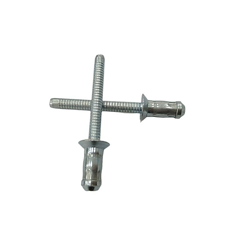 Serviço personalizado de parada única rivet oco de aço carbono com forma de hipocampo